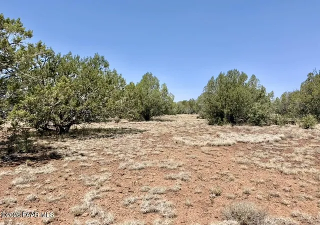 Photo 4 of Land for sale at 223 W Pat Dr, Williams, AZ 86046 | MLS# 1083320 | Listing updated on 2026-09-03