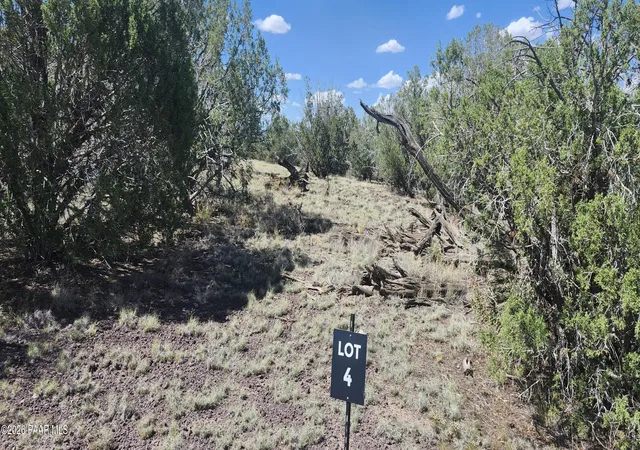 Photo 3 of Land for sale at 393 W Edgewood Dr, Williams, AZ 86046 | MLS# 1083506 | Listing updated on 2026-08-13