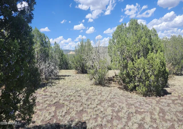 Photo 4 of Land for sale at 393 W Edgewood Dr, Williams, AZ 86046 | MLS# 1083506 | Listing updated on 2026-08-13