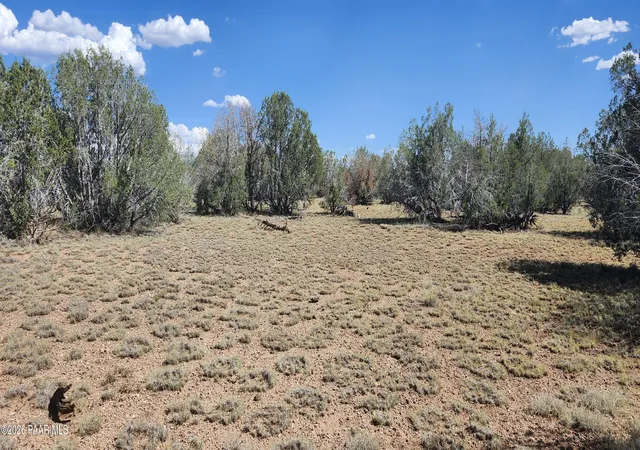 1st image of 2901 W Cienega Dr, Williams, AZ 86046 | MLS# 1083614