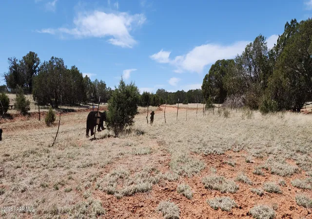 Photo 4 of Sale Pending at Lot 13 Ranch And Cattle, Ash Fork, AZ 86320 | MLS# 1083865 | Listing updated on 2026-09-13