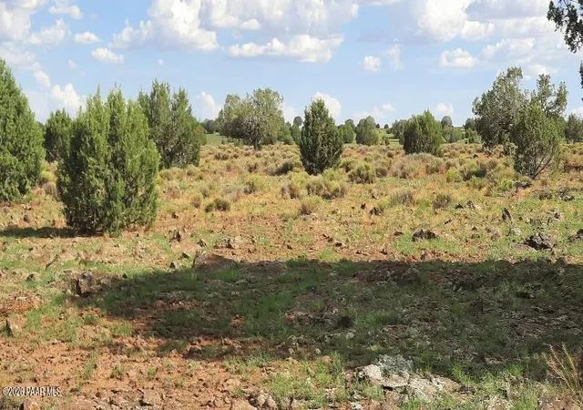3rd image of Xxxx N Stone Lake Blvd, Williams, AZ 86046 | MLS# 1083941