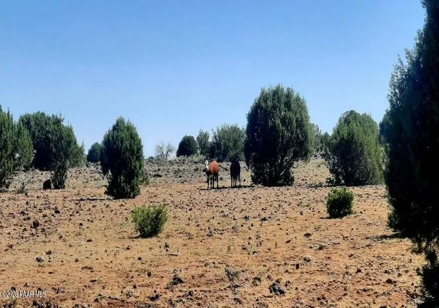 20th image of Xxxx E Martinez Rd, Williams, AZ 86046 | MLS# 1083942