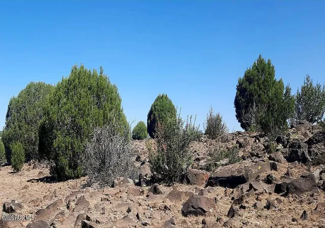 4th image of Xxxx E Martinez Rd, Williams, AZ 86046 | MLS# 1083942