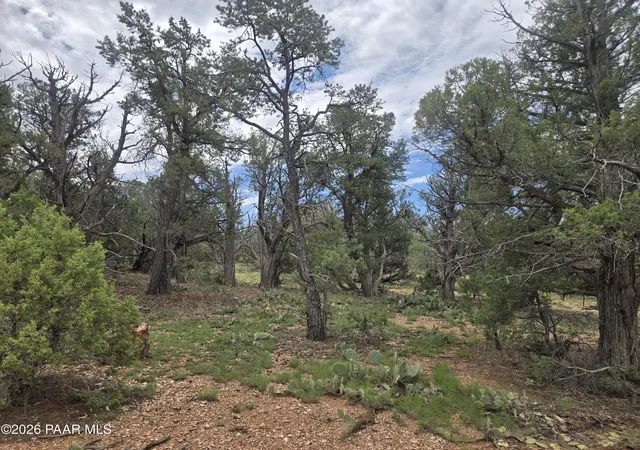 4th image of 435 S Arizona Rd, Ash Fork, AZ 86320 | MLS# 1083959