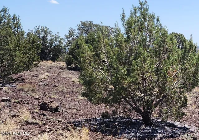 Photo 2 of Land for sale at 4476 W Northview Blvd, Williams, AZ 86046 | MLS# 1083963 | Listing updated on 2026-10-05
