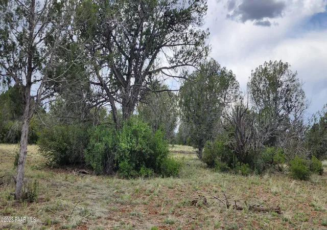 4th image of 97C Rattlesnake, Ash Fork, AZ 86320 | MLS# 1083982
