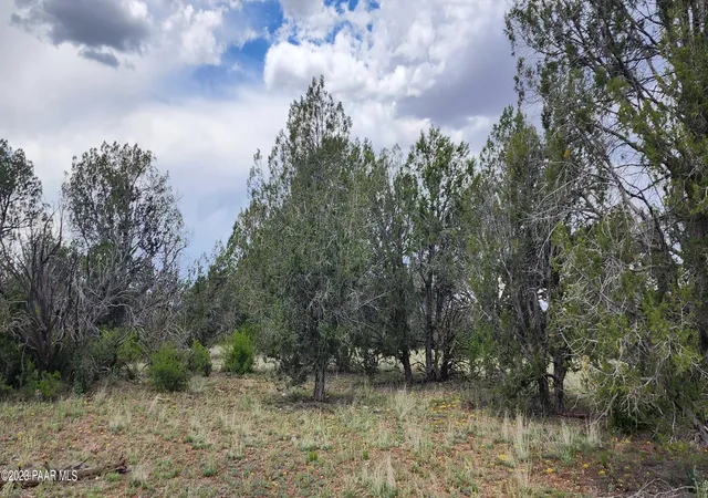 5th image of 97C Rattlesnake, Ash Fork, AZ 86320 | MLS# 1083982