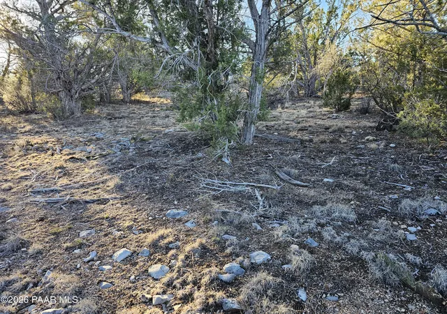 Photo 3 of Land for sale at 32397 W Camino Oso, Seligman, AZ 86337 | MLS# 1084802 | Listing updated on 2026-09-02