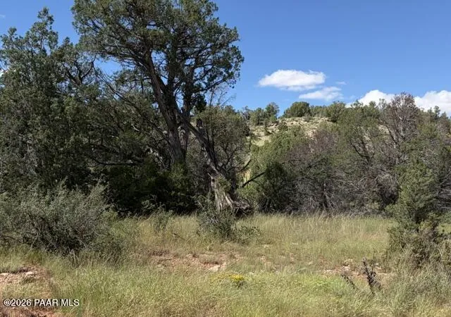 Photo 4 of Land for sale at 34440 W Potrero Pkwy, Seligman, AZ 86337 | MLS# 1084913 | Listing updated on 2026-09-06