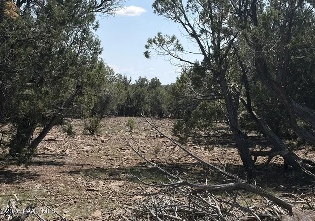 Photo 1 of Sale Pending at 00 Nw Nine Shooter Rd, Williams, AZ 86046 | MLS# 1085049 | Listing updated on 2026-09-18