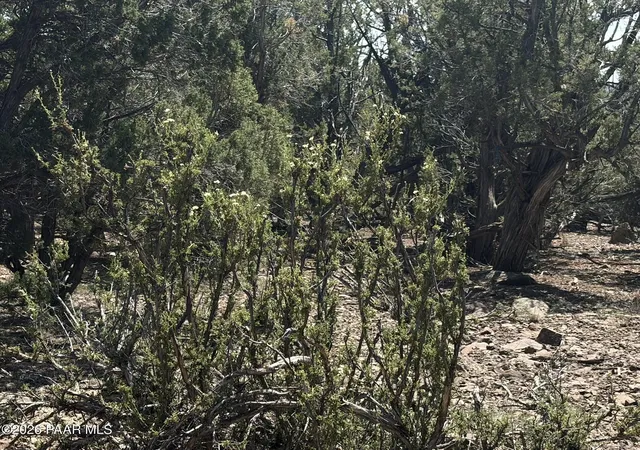 Photo 2 of Sale Pending at 00 Nw Nine Shooter Rd, Williams, AZ 86046 | MLS# 1085049 | Listing updated on 2026-09-18