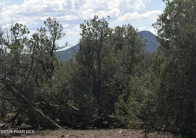 Photo 4 of Sale Pending at 00 NW Nine Shooter Rd, Williams, AZ 86046 | MLS# 1085049 | Listing updated on 2026-09-18