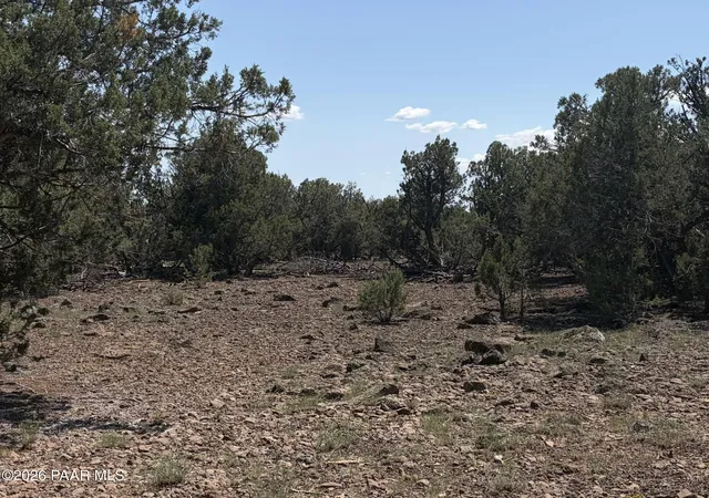Photo 1 of Land for sale at 00 Ne Nine Shooter Rd, Williams, AZ 86046 | MLS# 1085050 | Listing updated on 2026-09-17
