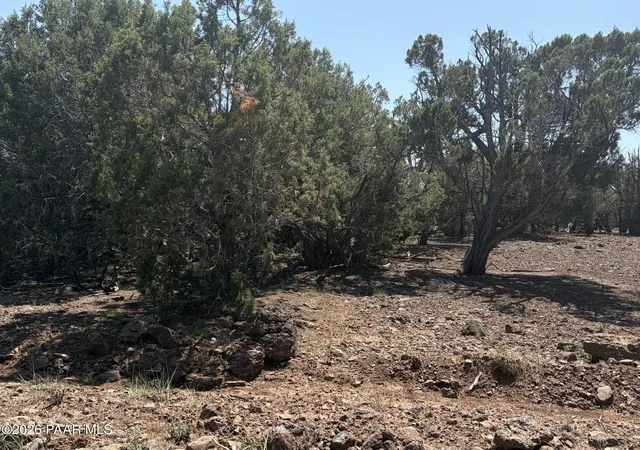 Photo 2 of Land for sale at 00 Ne Nine Shooter Rd, Williams, AZ 86046 | MLS# 1085050 | Listing updated on 2026-09-17