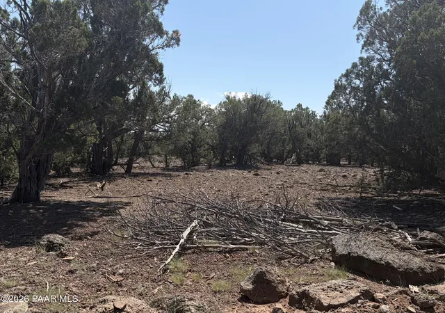 Photo 3 of Land for sale at 00 Ne Nine Shooter Rd, Williams, AZ 86046 | MLS# 1085050 | Listing updated on 2026-09-17