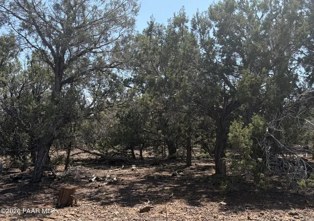 Photo 3 of Land for sale at 00 NE Nine Shooter Rd, Williams, AZ 86046 | MLS# 1085050 | Listing updated on 2026-09-17