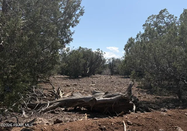 Photo 4 of Land for sale at 00 NE Nine Shooter Rd, Williams, AZ 86046 | MLS# 1085050 | Listing updated on 2026-09-17