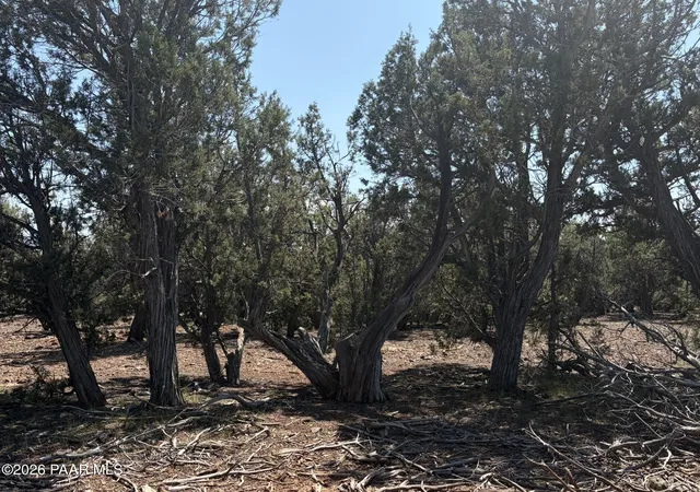 Photo 1 of Sale Pending at 00 Sw Nine Shooter Rd, Williams, AZ 86046 | MLS# 1085051 | Listing updated on 2026-09-18