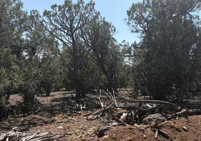 Photo 3 of Sale Pending at 00 Sw Nine Shooter Rd, Williams, AZ 86046 | MLS# 1085051 | Listing updated on 2026-09-18