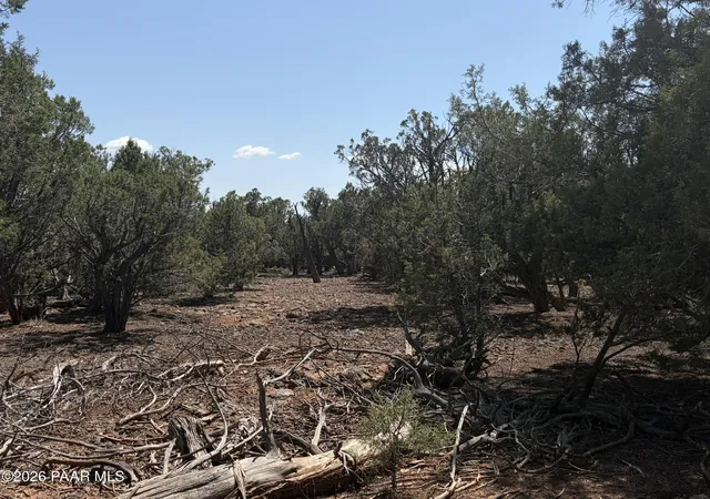 Photo 3 of Sale Pending at 00 SW Nine Shooter Rd, Williams, AZ 86046 | MLS# 1085051 | Listing updated on 2026-09-18