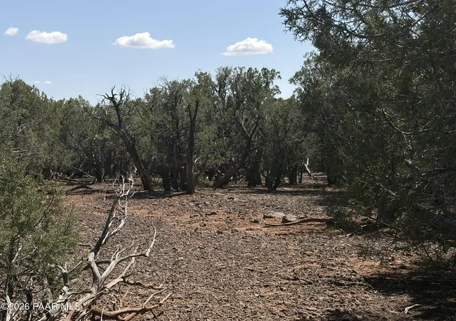 Photo 4 of Sale Pending at 00 SW Nine Shooter Rd, Williams, AZ 86046 | MLS# 1085051 | Listing updated on 2026-09-18