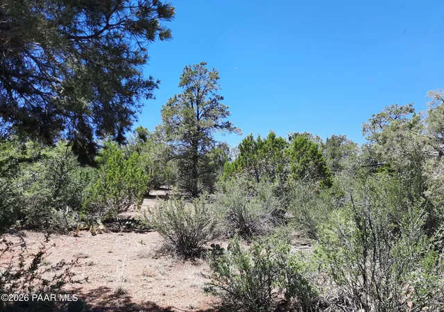 Photo 4 of Land for sale at 074 Off Denny 5 Rd, Seligman, AZ 86337 | MLS# 1085053 | Listing updated on 2026-09-17
