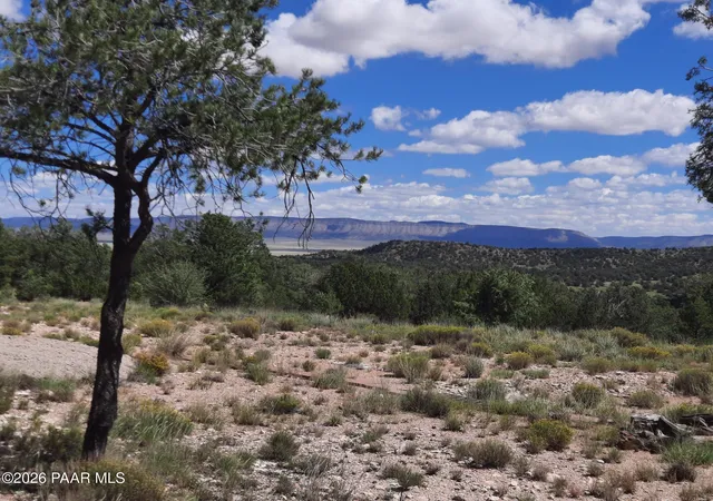 Photo 3 of Land for sale at Lot 190 Off Hummingbird Ln, Seligman, AZ 86337 | MLS# 1085113 | Listing updated on 2026-09-18