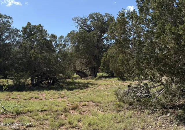 Land for sale at 57650 Hora Ln, Seligman, AZ 86337 | MLS# 1085224