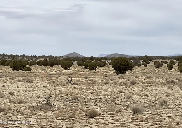 Land for sale at 084a Ravens Rest Rd, Seligman, AZ 86337 | MLS# 1085241