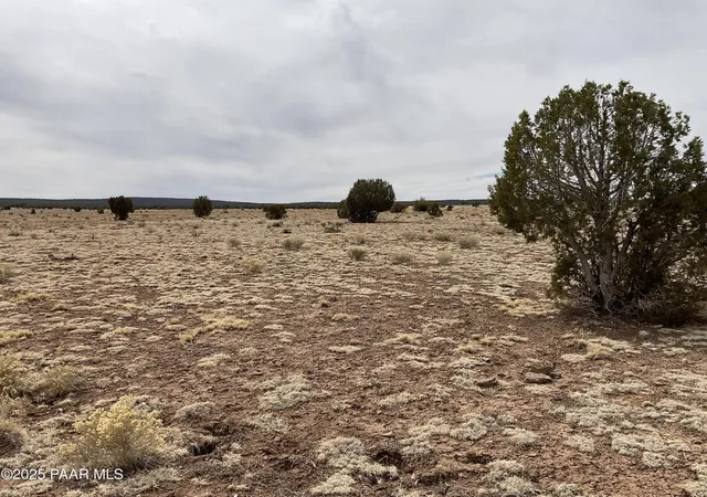 Photo 4 of Land for sale at 084a Ravens Rest Rd, Seligman, AZ 86337 | MLS# 1085241 | Listing updated on 2026-09-22