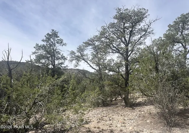 Land for sale at 1510 Off Of Lion Cyn Dr, Seligman, AZ 86337 | MLS# 1085246