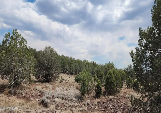 Photo 3 of Sale Pending at 2544 N Double A Rnch Rd, Ash Fork, AZ 86320 | MLS# 1085323 | Listing updated on 2026-09-26
