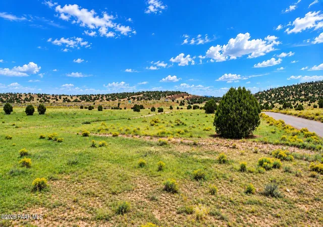 Land for sale at 35-9 Fort Rock Rd, Seligman, AZ 86337 | MLS# 1085510