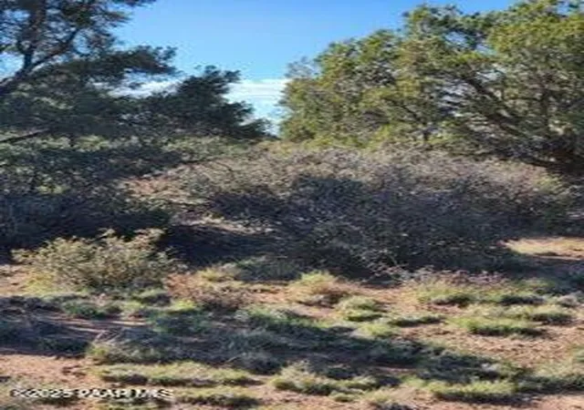 Photo 4 of Land for sale at 000 W Young Rd, Prescott, AZ 86305 | MLS# 1085443 | Listing updated on 2026-10-09