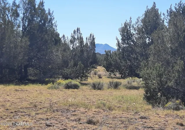 Land for sale at 34445 W Presidio Ln, Seligman, AZ 86337 | MLS# 1085470