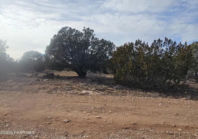 Land for sale at 56056 N Bridge Cyn Pkwy, Seligman, AZ 86337 | MLS# 1085475