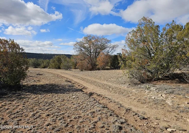 Land for sale at 30022 W Amalia Rd, Seligman, AZ 86337 | MLS# 1085477