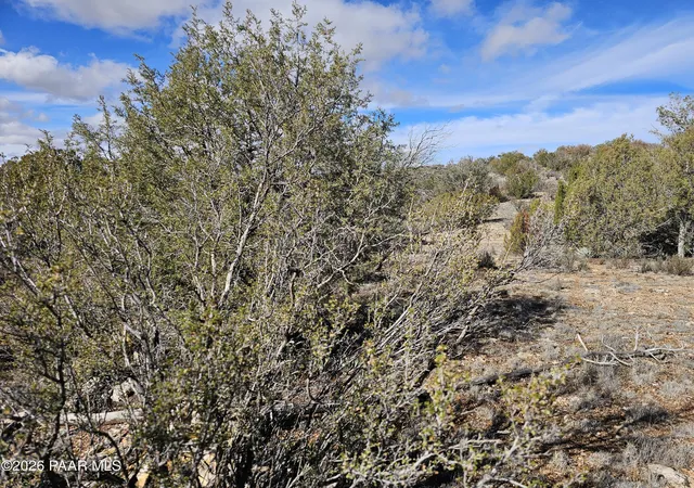 Photo 3 of Land for sale at 30022 W Amalia Rd, Seligman, AZ 86337 | MLS# 1085477 | Listing updated on 2026-10-05