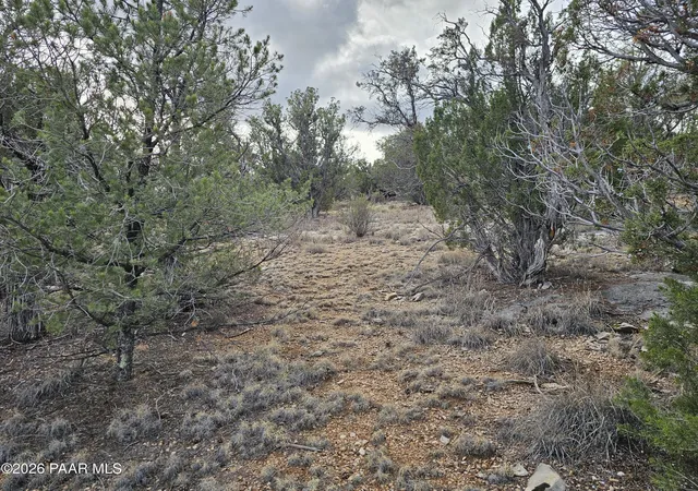 Land for sale at 55644 N Potrero Pkwy, Seligman, AZ 86337 | MLS# 1085478