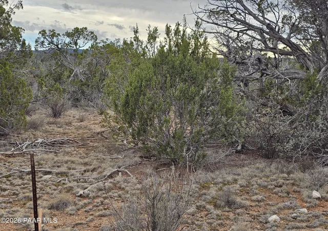 Land for sale at 32667 W Conejo Rd, Seligman, AZ 86337 | MLS# 1085480