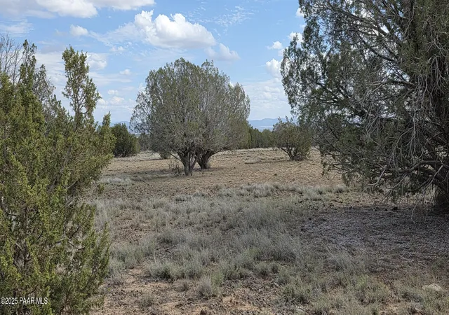 Land for sale at 64 Antelope Run, Ash Fork, AZ 86320 | MLS# 1085690