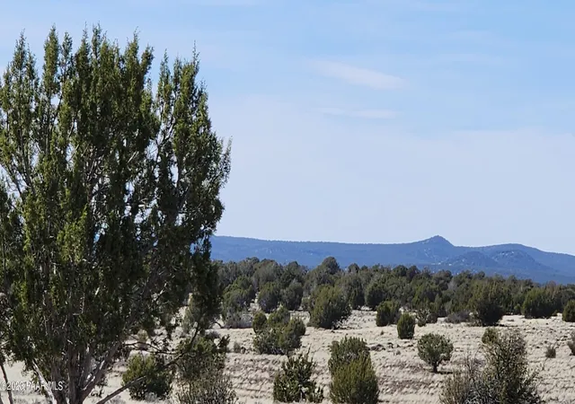 Land for sale at 644 Cortez Ranch Rd, Ash Fork, AZ 86320 | MLS# 1085847