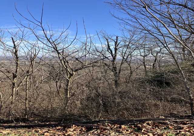 1st image of 1200 Longstreet Cir, Brentwood, TN 37027 | MLS# 3080531