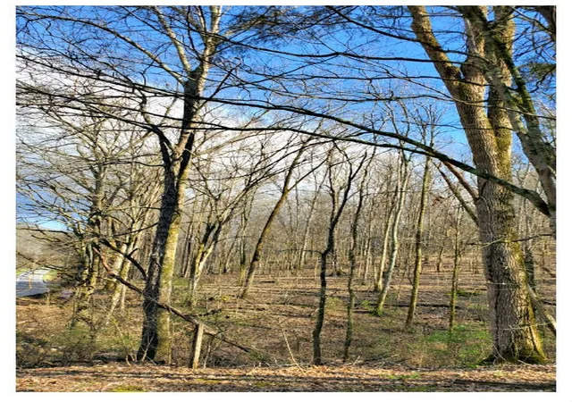 Photo 1 of Land for sale at 8171 Mccrory Ln, Nashville, TN 37221 | MLS# 2134251 | Listing updated on 2026-03-23