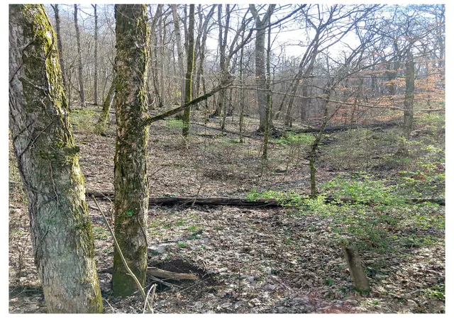 Photo 2 of Land for sale at 8171 Mccrory Ln, Nashville, TN 37221 | MLS# 2134251 | Listing updated on 2026-03-23