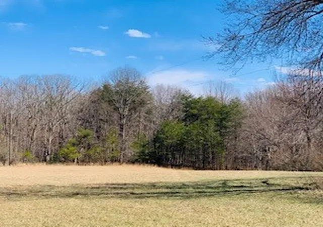 Photo 3 of Sale Pending at 607 Open Range Rd, Spencer, TN 38585 | MLS# 2232362 | Listing updated on 2021-05-14
