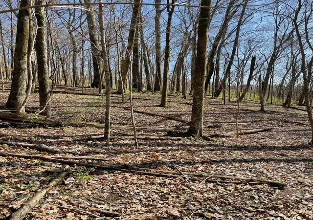 Photo 2 of Land for sale at 2057 Hillsboro, Franklin, TN 37069 | MLS# 2242412 | Listing updated on 2025-09-23