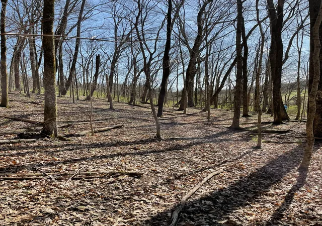 Photo 3 of Land for sale at 2057 Hillsboro, Franklin, TN 37069 | MLS# 2242412 | Listing updated on 2025-09-23