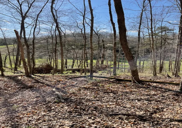Photo 3 of Land for sale at 2057 Hillsboro, Franklin, TN 37069 | MLS# 2242412 | Listing updated on 2025-09-23